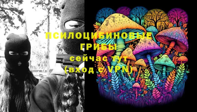 blacksprut маркетплейс  Елизово  Галлюциногенные грибы Psilocybe 