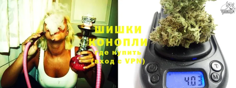 Бошки Шишки VHQ  Елизово 